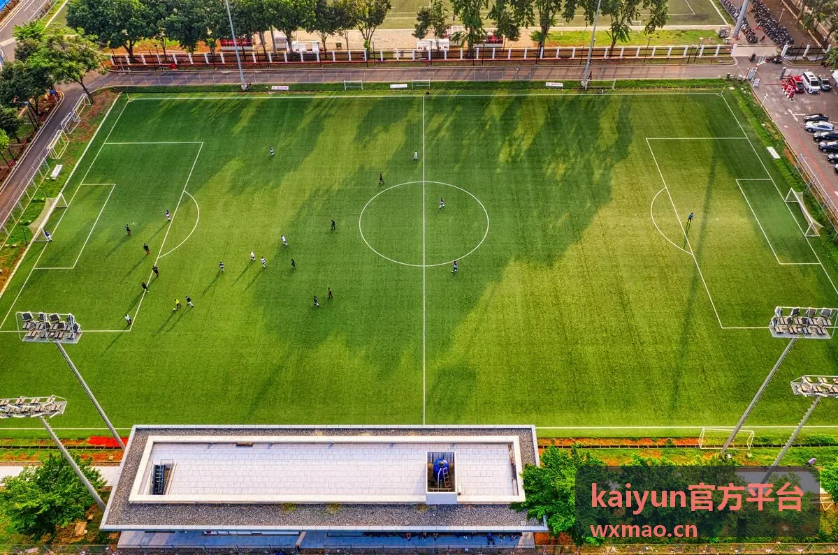 kaiyun官方平台 存储空间与缓存占用数据
